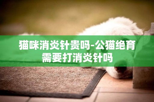 貓咪消炎針貴嗎-公貓絕育需要打消炎針嗎