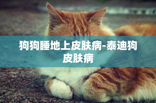 狗狗睡地上皮膚病-泰迪狗皮膚病