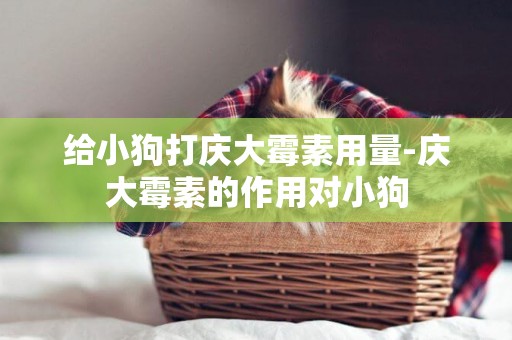 給小狗打慶大霉素用量-慶大霉素的作用對小狗