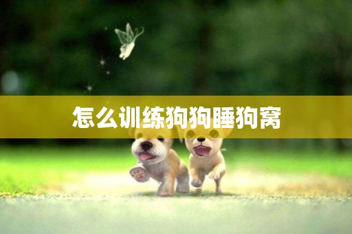 怎么訓練狗狗睡狗窩