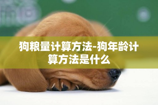 狗糧量計算方法-狗年齡計算方法是什么