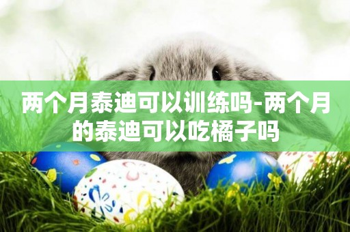 兩個月泰迪可以訓練嗎-兩個月的泰迪可以吃橘子嗎