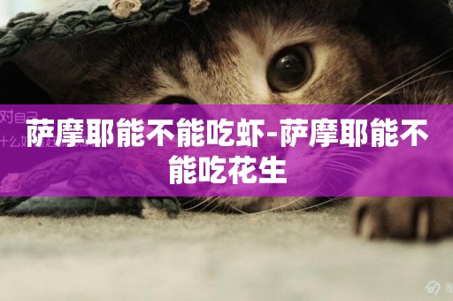 薩摩耶能不能吃蝦-薩摩耶能不能吃花生