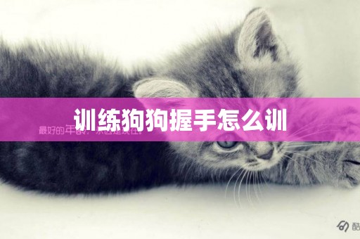 訓練狗狗握手怎么訓
