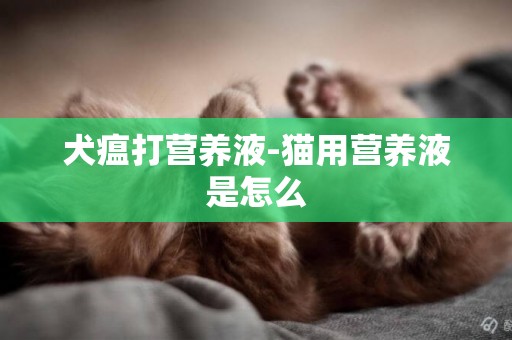 犬瘟打營養液-貓用營養液是怎么