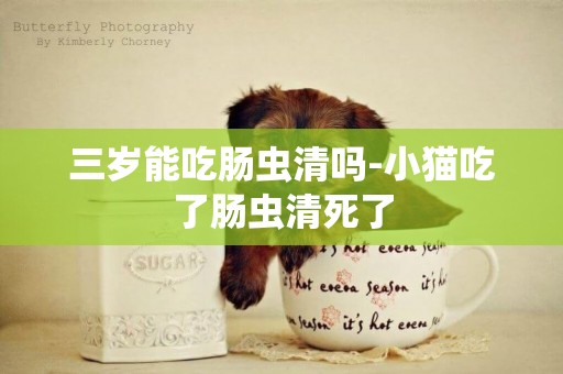 三歲能吃腸蟲清嗎-小貓吃了腸蟲清死了