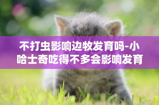 不打蟲影響邊牧發育嗎-小哈士奇吃得不多會影響發育嗎