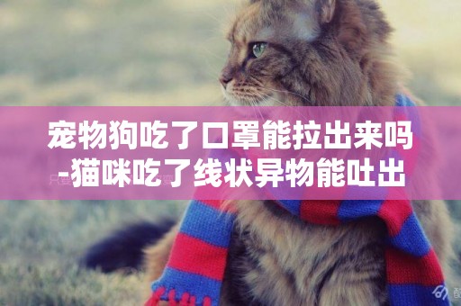 寵物狗吃了口罩能拉出來嗎-貓咪吃了線狀異物能吐出來嗎
