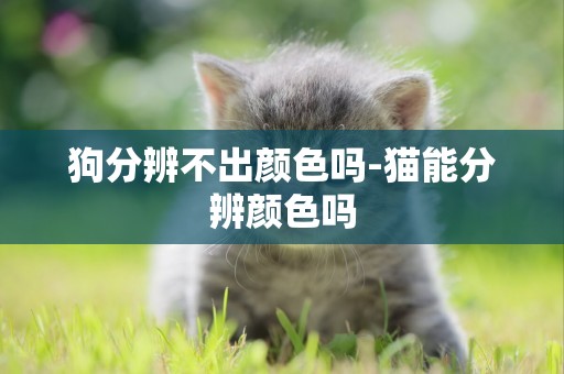 狗分辨不出顏色嗎-貓能分辨顏色嗎