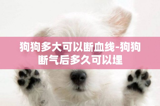 狗狗多大可以斷血線-狗狗斷氣后多久可以埋