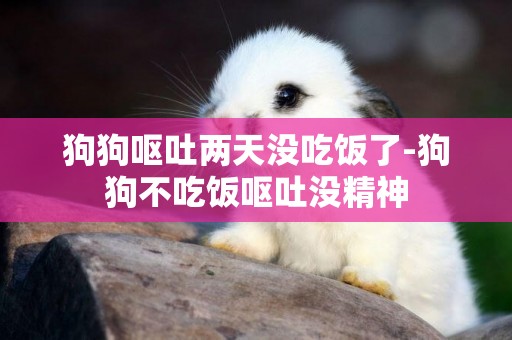 狗狗嘔吐兩天沒吃飯了-狗狗不吃飯嘔吐沒精神