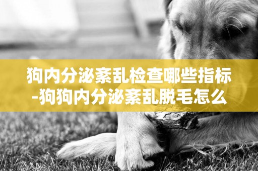 狗內分泌紊亂檢查哪些指標-狗狗內分泌紊亂脫毛怎么辦