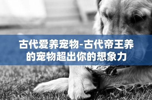 古代愛養寵物-古代帝王養的寵物超出你的想象力