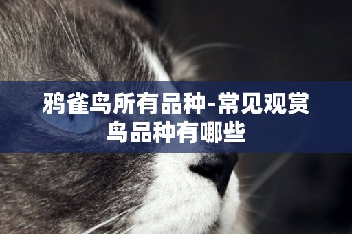 鴉雀鳥所有品種-常見觀賞鳥品種有哪些