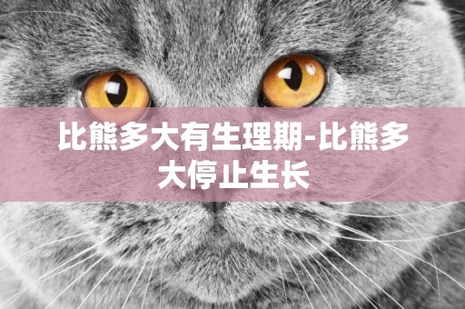 比熊多大有生理期-比熊多大停止生長