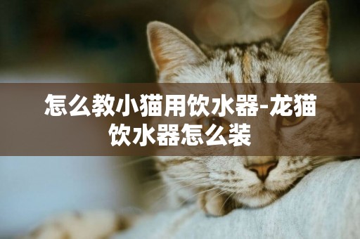 怎么教小貓用飲水器-龍貓飲水器怎么裝