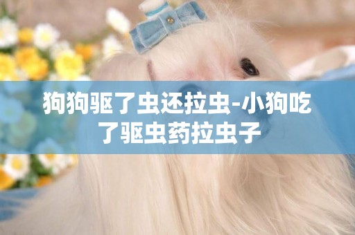 狗狗驅了蟲還拉蟲-小狗吃了驅蟲藥拉蟲子