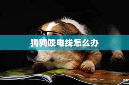 狗狗咬電線怎么辦