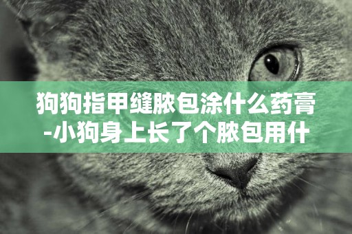 狗狗指甲縫膿包涂什么藥膏-小狗身上長了個膿包用什么藥