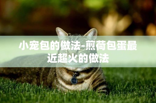 小寵包的做法-煎荷包蛋最近超火的做法
