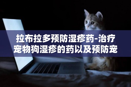 拉布拉多預防濕疹藥-治療寵物狗濕疹的藥以及預防寵物狗濕疹的辦法