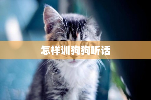 怎樣訓狗狗聽話
