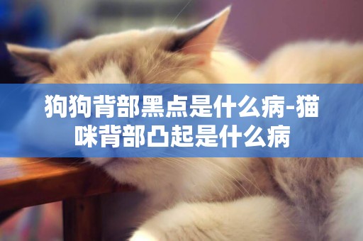 狗狗背部黑點是什么病-貓咪背部凸起是什么病