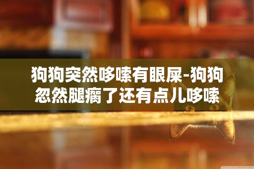 狗狗突然哆嗦有眼屎-狗狗忽然腿瘸了還有點兒哆嗦