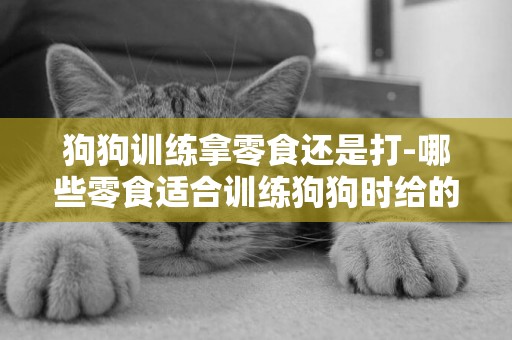 狗狗訓練拿零食還是打-哪些零食適合訓練狗狗時給的獎勵零食