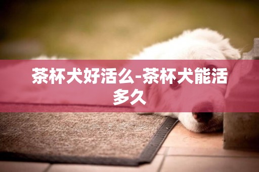 茶杯犬好活么-茶杯犬能活多久