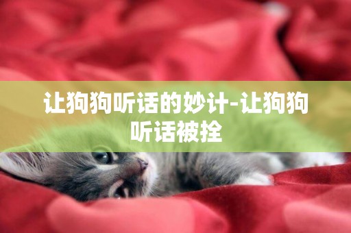 讓狗狗聽話的妙計-讓狗狗聽話被拴