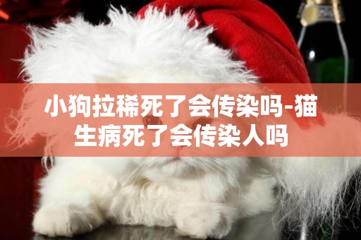 小狗拉稀死了會傳染嗎-貓生病死了會傳染人嗎