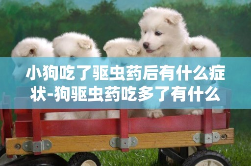 小狗吃了驅蟲藥后有什么癥狀-狗驅蟲藥吃多了有什么危害