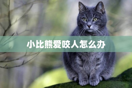 小比熊愛咬人怎么辦