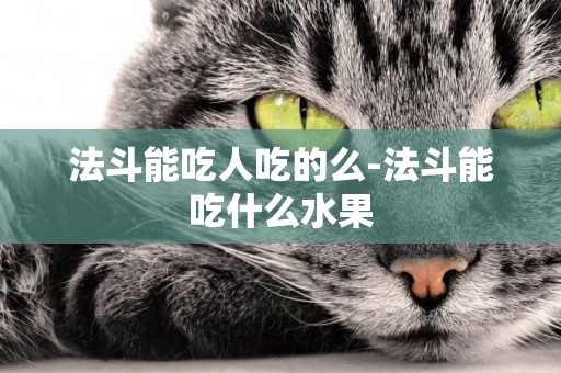 法斗能吃人吃的么-法斗能吃什么水果