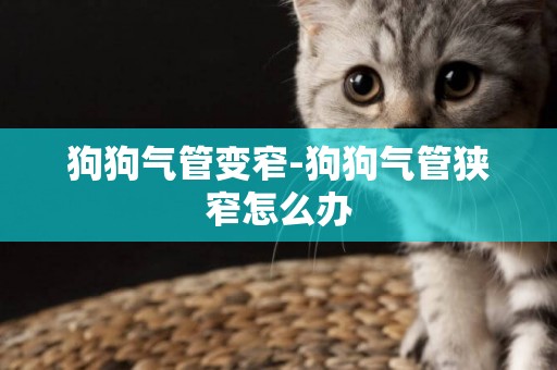 狗狗氣管變窄-狗狗氣管狹窄怎么辦