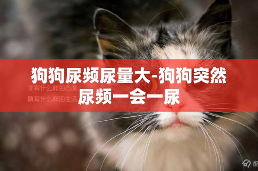 狗狗尿頻尿量大-狗狗突然尿頻一會一尿