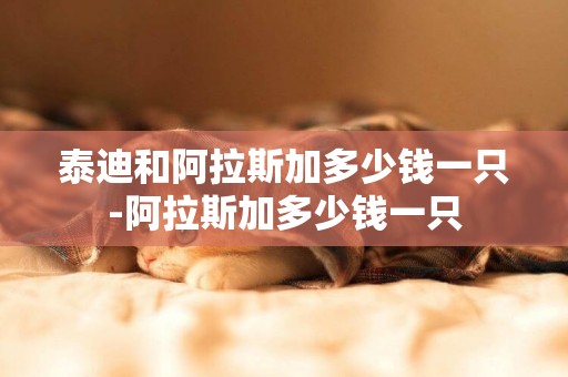泰迪和阿拉斯加多少錢一只-阿拉斯加多少錢一只