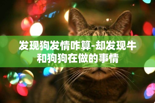 發現狗發情咋算-卻發現牛和狗狗在做的事情