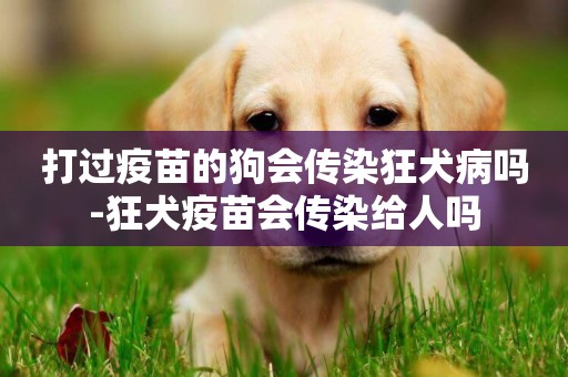打過疫苗的狗會傳染狂犬病嗎-狂犬疫苗會傳染給人嗎