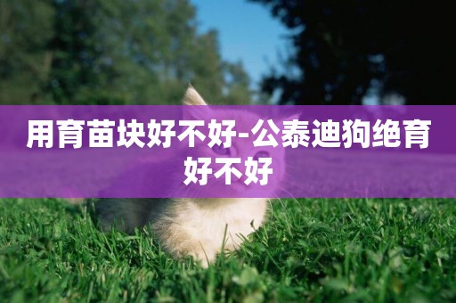 用育苗塊好不好-公泰迪狗絕育好不好