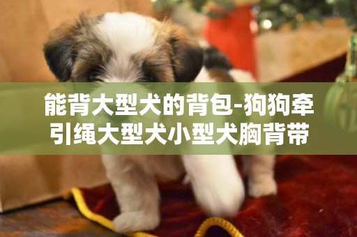 能背大型犬的背包-狗狗牽引繩大型犬小型犬胸背帶