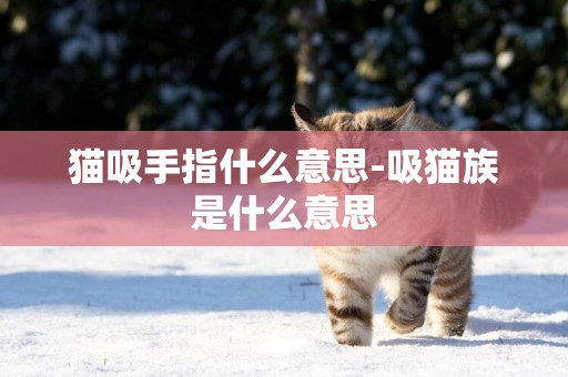 貓吸手指什么意思-吸貓族是什么意思