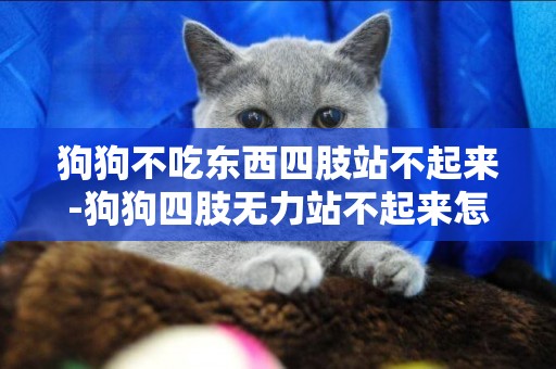 狗狗不吃東西四肢站不起來-狗狗四肢無力站不起來怎么回事