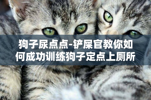 狗子尿點點-鏟屎官教你如何成功訓練狗子定點上廁所