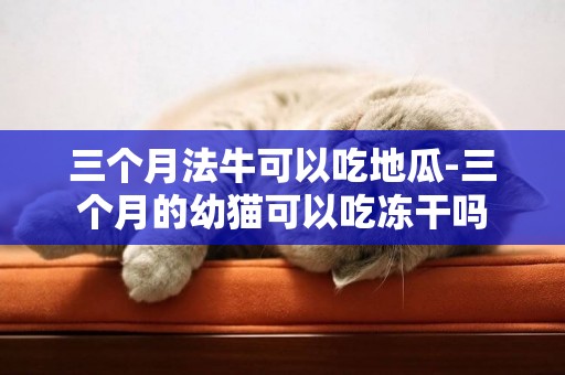 三個月法牛可以吃地瓜-三個月的幼貓可以吃凍干嗎