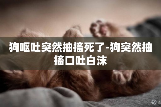 狗嘔吐突然抽搐死了-狗突然抽搐口吐白沫