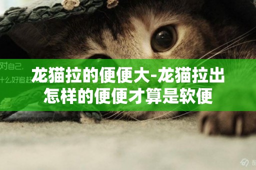 龍貓拉的便便大-龍貓拉出怎樣的便便才算是軟便