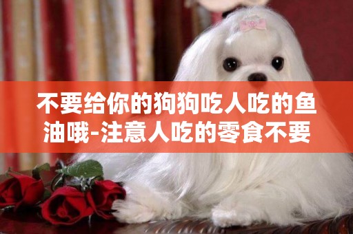 不要給你的狗狗吃人吃的魚油哦-注意人吃的零食不要長給狗狗吃
