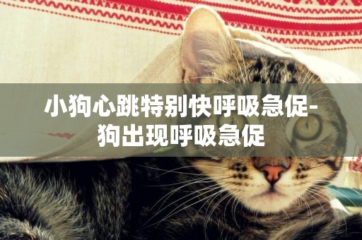 小狗心跳特別快呼吸急促-狗出現呼吸急促